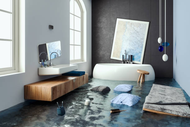  Belleair, FL Water damage restoration Pros