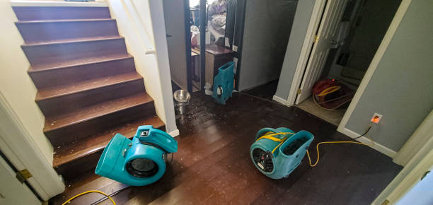 Best 24/7 water damage repair  in Belleair, FL