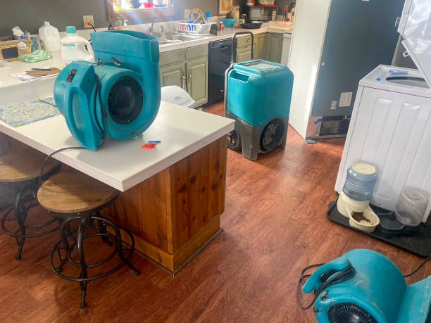 Best Ceiling water damage repair  in Belleair, FL