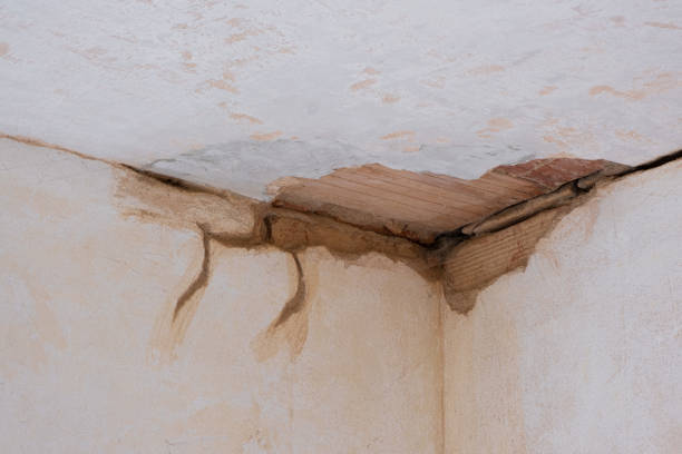 Best Residential water damage restoration  in Belleair, FL