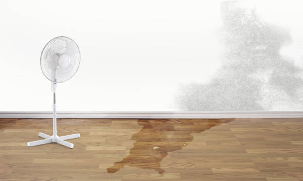 Belleair, FL Water damage restoration Company
