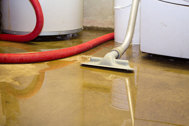 Best Flooded house restoration  in Belleair, FL