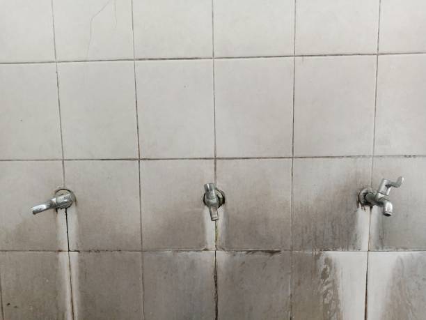 Water damage restoration insurance claims in Belleair, FL