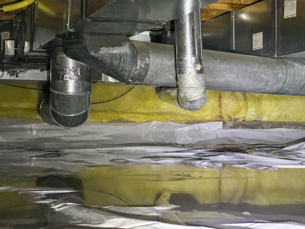 Best Mold removal after water damage  in Belleair, FL